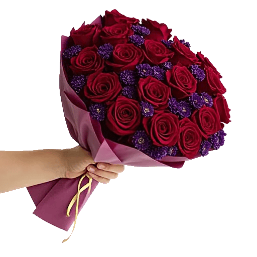 Crimson Rose Elegance