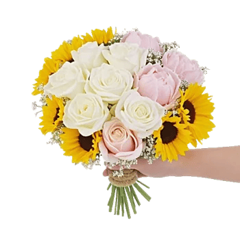 Petal Grace Harmony