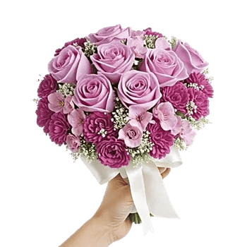 Pastel Pink Roses
