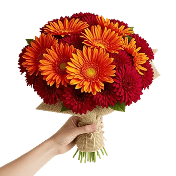 Scarlet Beauty Fusion