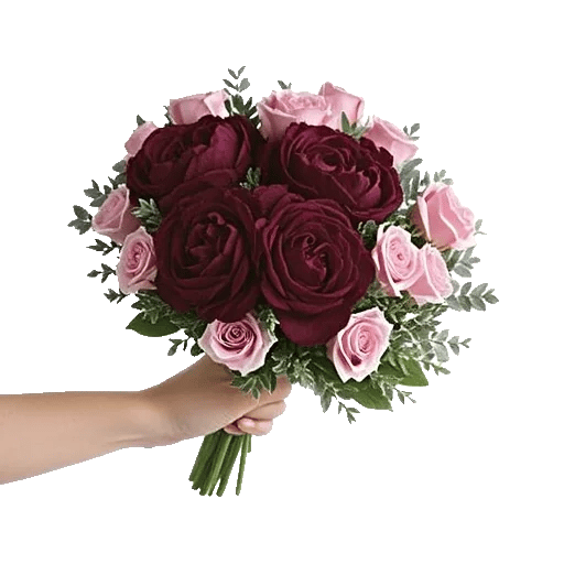 Peony Petal Harmony