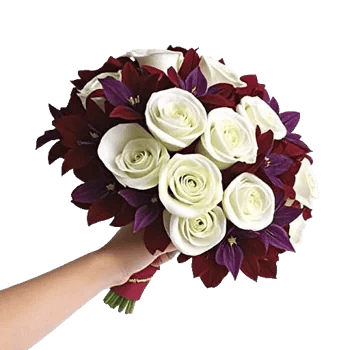 Elegant Calla Lilies