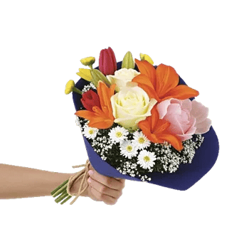 Blossom Harmony Display