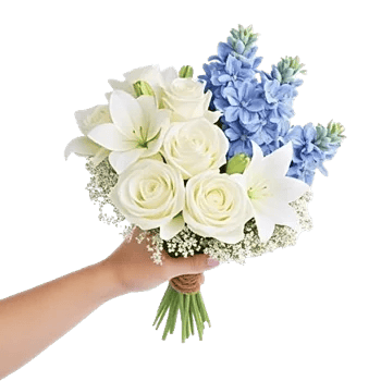 Blossom Petal Serenity