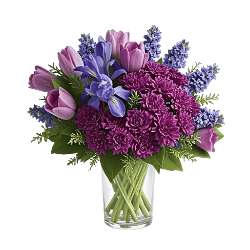 Velvet Tulip Display