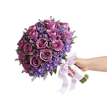 Blushing Rose Symphony