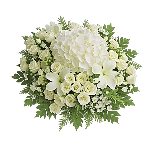 Ivory Blossom Radiance