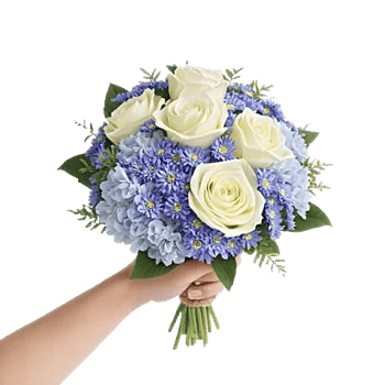 Serene Petal Harmony