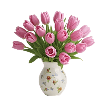 Velvet Tulip Display