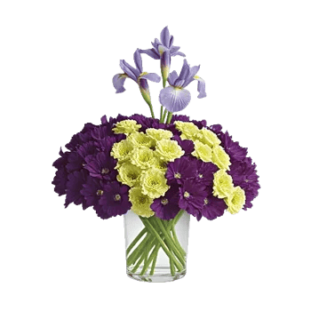 Ivory Blossom Radiance