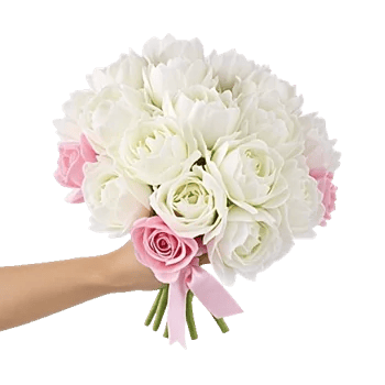 Peony Petal Harmony
