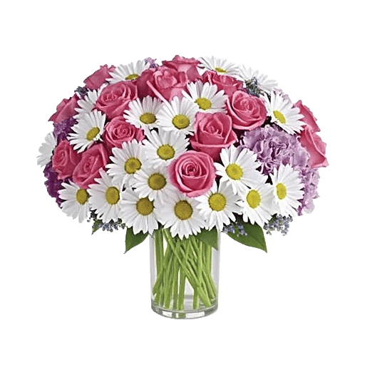 Petal Radiance Bliss