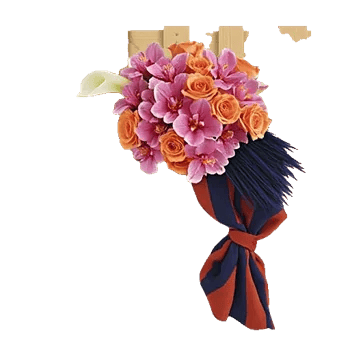 Elegant Calla Lilies