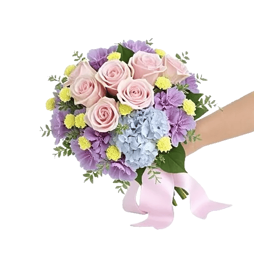Pastel Pink Roses