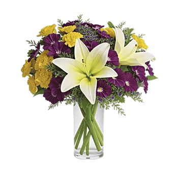 Ivory Blossom Radiance