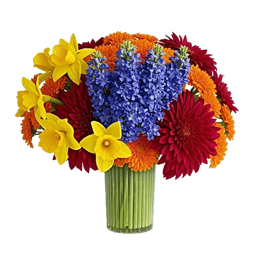 Petal Radiance Bliss