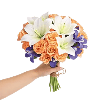 Ivory Blossom Radiance