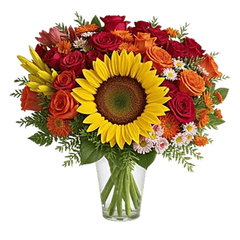 Radiant Bloom Cascade