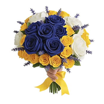 Elegant Blue Roses