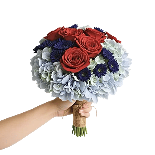 Serene Petal Harmony