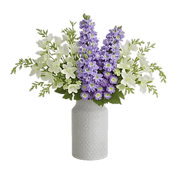 Ivory Blossom Radiance