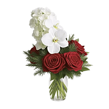 Orchid Bloom Cascade