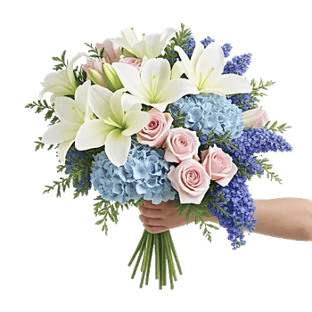 Serene Petal Harmony