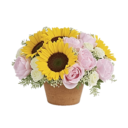 Amber Sunflower Glow