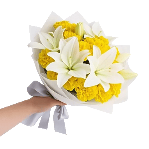 Blossom Harmony Display