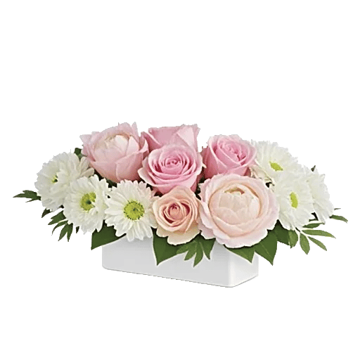 Delicate Petal Cascade