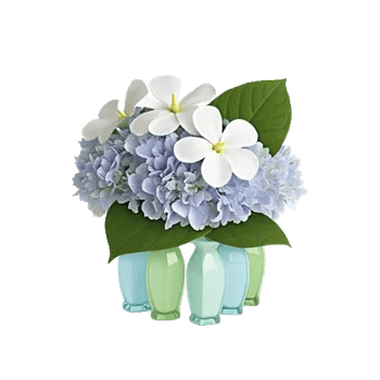 Serene Petal Harmony