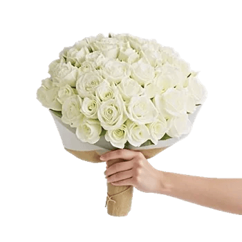 Ivory Blossom Radiance