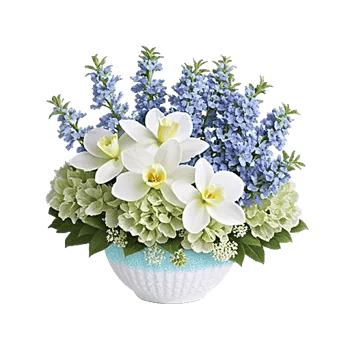 Minimalist White Orchids