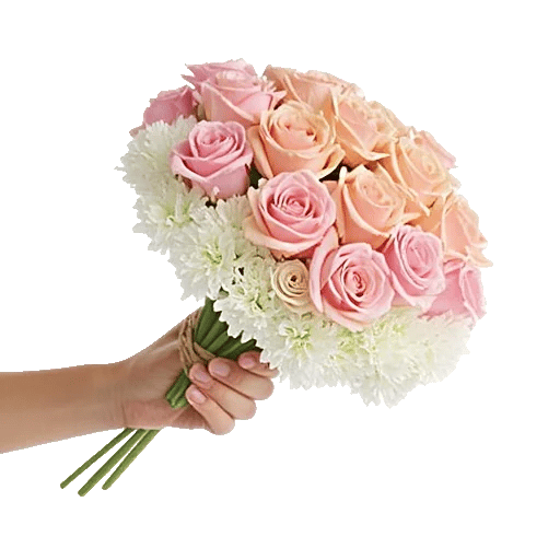Pastel Pink Roses