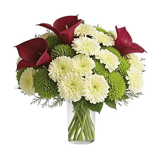 Elegant Calla Lilies