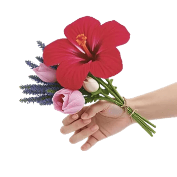 Blushing Rose Symphony