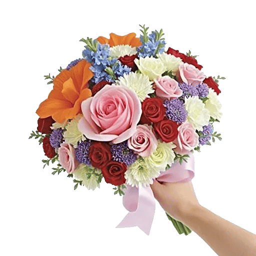 Blushing Rose Symphony