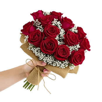 Crimson Rose Elegance