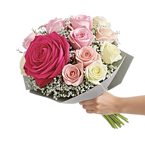 Pastel Pink Roses