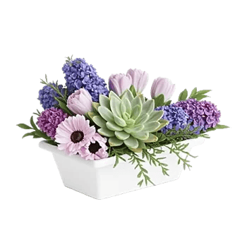 Minimalist White Orchids