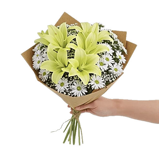 Blossom Harmony Display