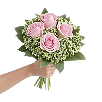 Pastel Pink Roses