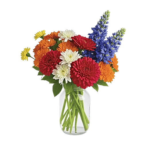 Petal Radiance Bliss