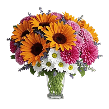 Petal Radiance Bliss