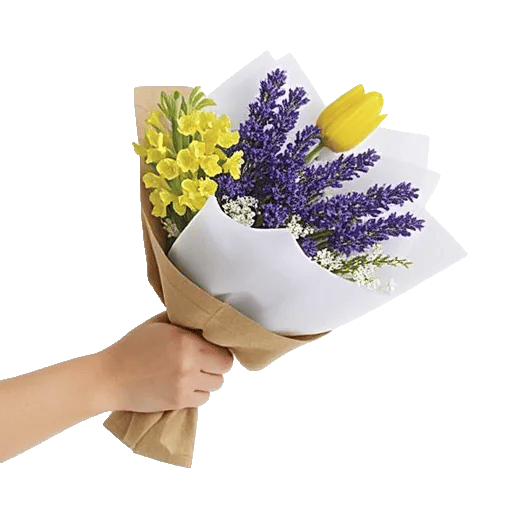 Blossom Harmony Display