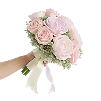 Pastel Pink Roses