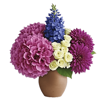 Sapphire Bloom Whisper