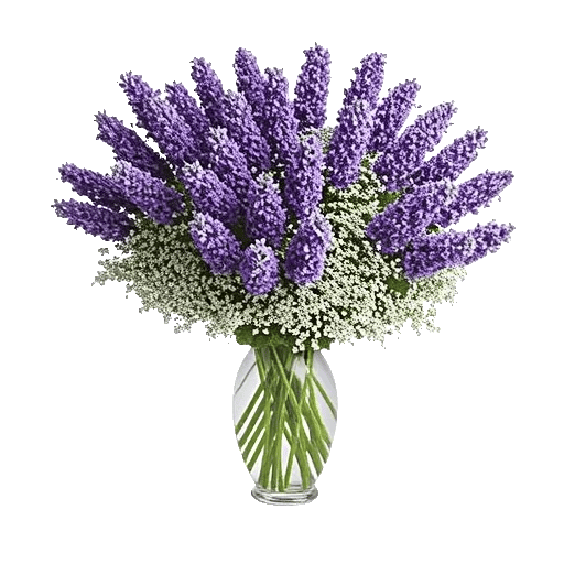 Lavender Bloom Grace