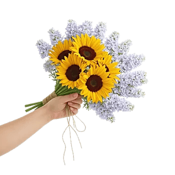 Twinkling Sunflower Dance