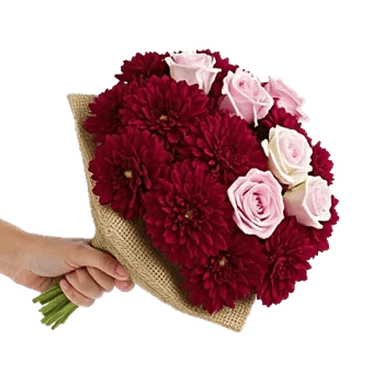 Blushing Rose Symphony